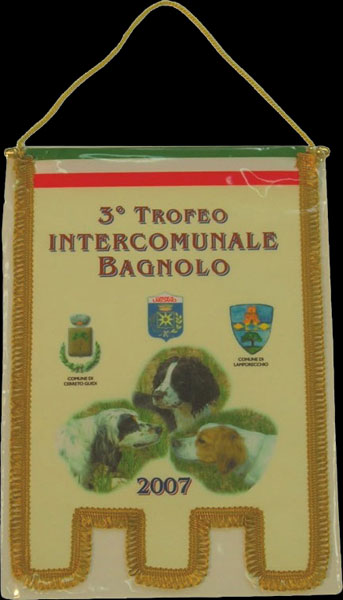 Gagliardetto a tre punte