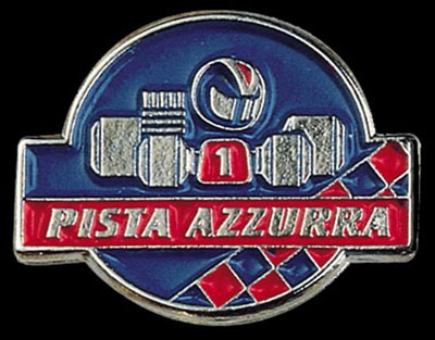 Pins smaltati