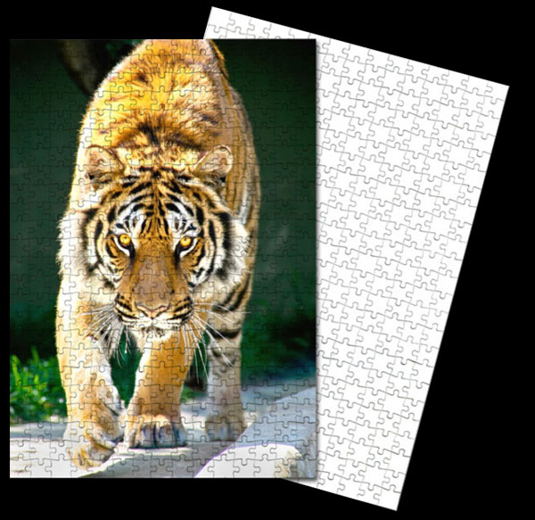 Puzzle personalizzati
