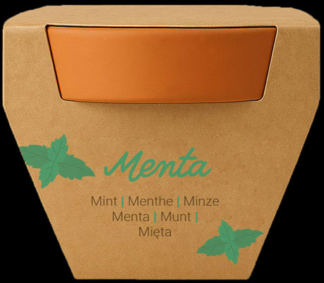 Vasetto con semi di menta, girasole, peperoncino, basilico, pomodorino