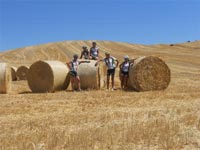 Via Francigena 2012